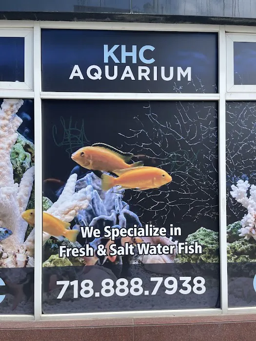 KHC Aquarium Picture 1