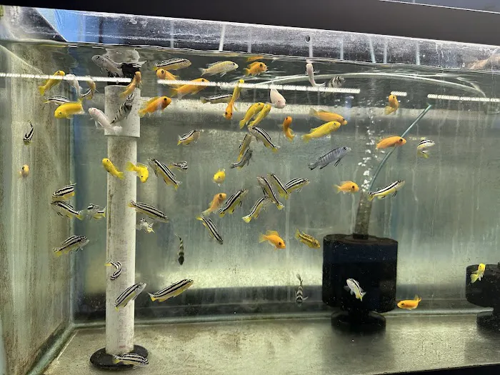 KHC Aquarium Picture 8