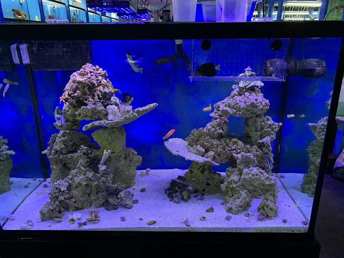KHC Aquarium Picture 5