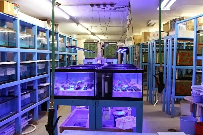 KHC Aquarium Picture 10