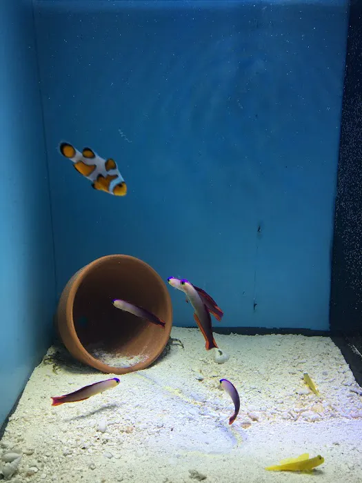 New York Reef Aquatic Picture 4