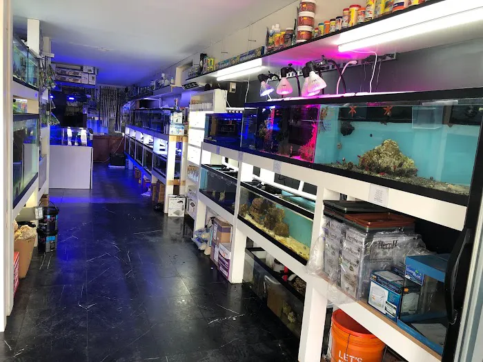 New York Reef Aquatic Picture 5