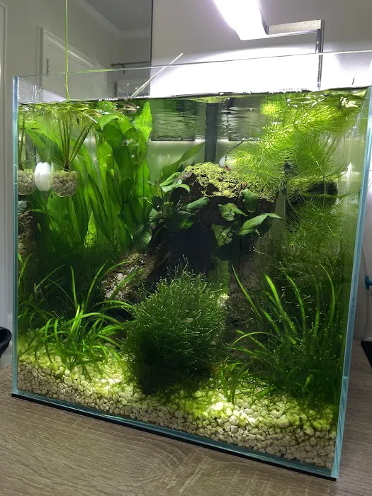 New York Reef Aquatic Picture 10