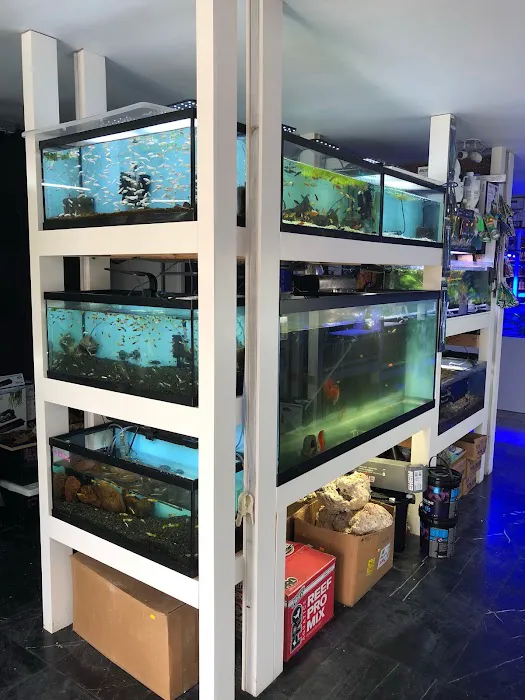New York Reef Aquatic Picture 8