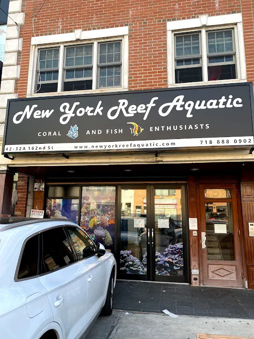 New York Reef Aquatic Picture 9
