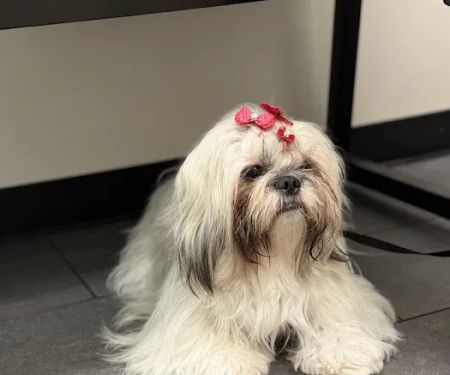 Banfield Pet Hospital