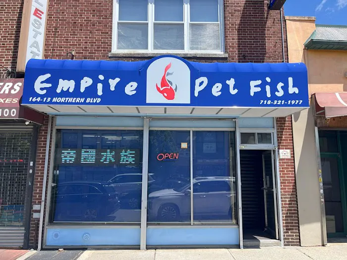 Empire Pet Fish Picture 2