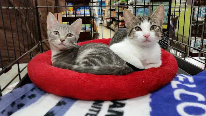 Petco Picture 10