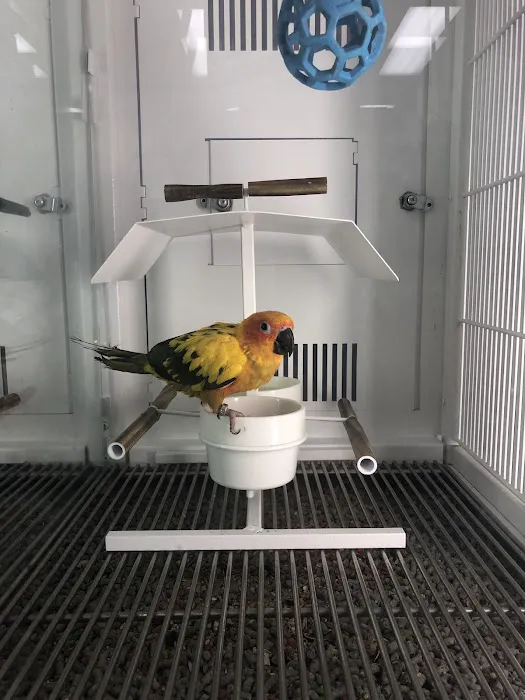 Petco Picture 2