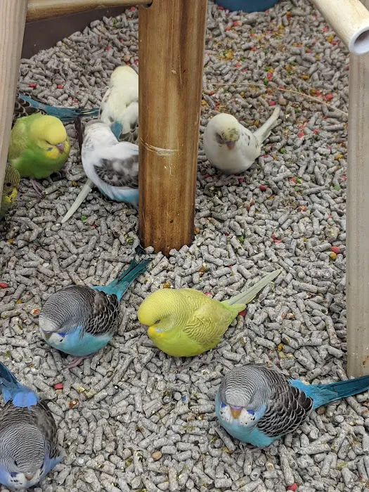 Petco Picture 5