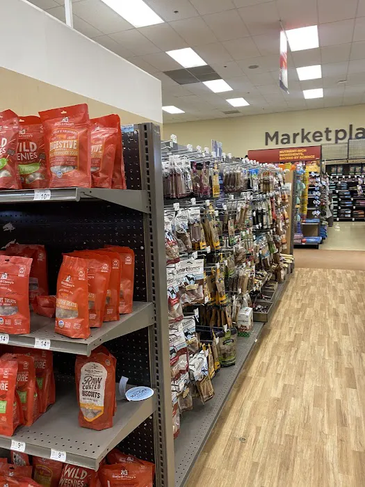 Petco Picture 7