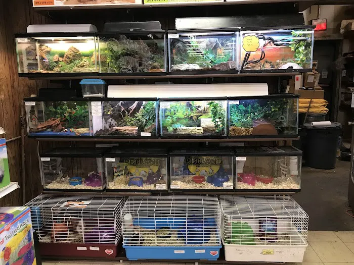Petland Discounts - Richmond Picture 4