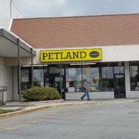 Petland Discounts - Richmond ico