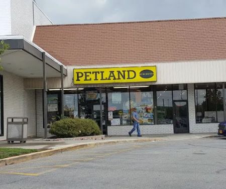 Petland Discounts - Richmond