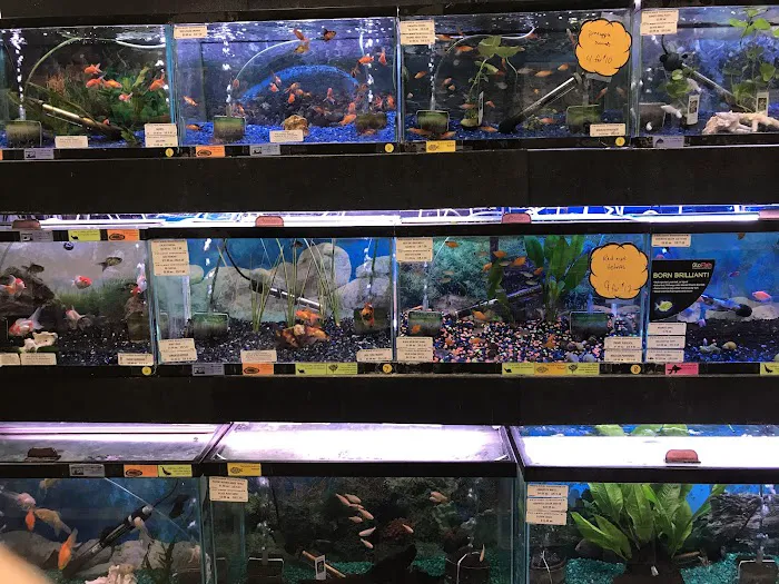 Petland Discounts - Richmond Picture 7