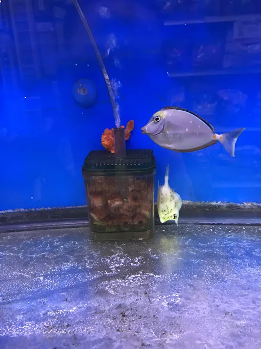 Petland Discounts - Richmond Picture 5