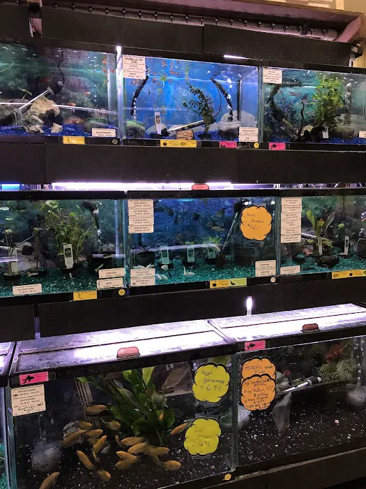 Petland Discounts - Richmond Picture 8