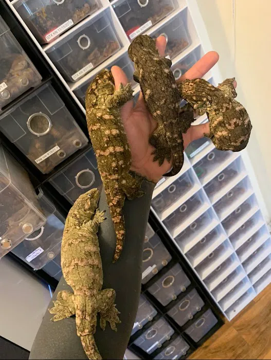 Self Trusted Reptiles Picture 1