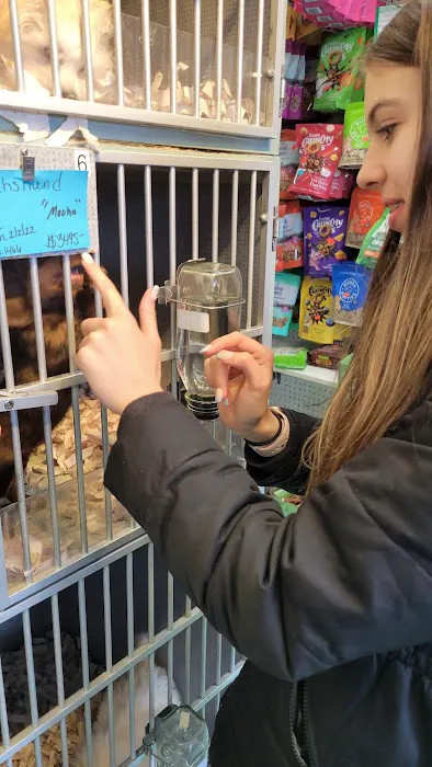 Arcadia Pets of Staten Island Picture 5