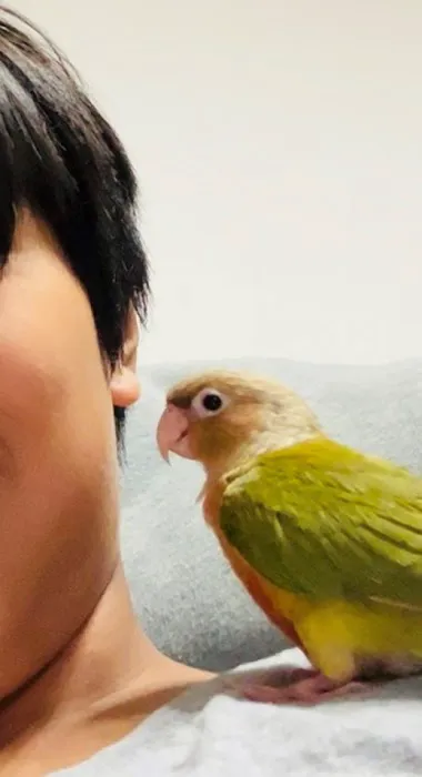 TP Birds Picture 5