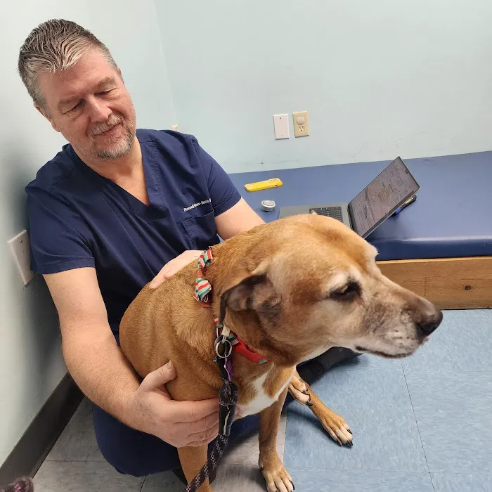 Haven Animal Health Services | Home of PetPT Picture 6