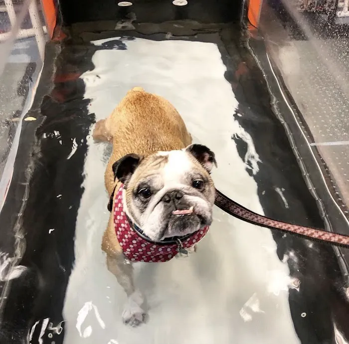Haven Animal Health Services | Home of PetPT Picture 4