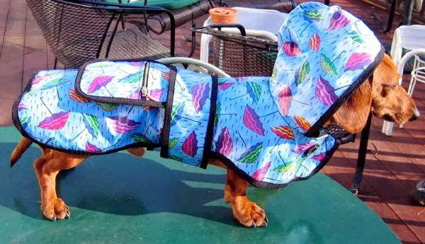 Wraprascal Dog Coats Picture 4
