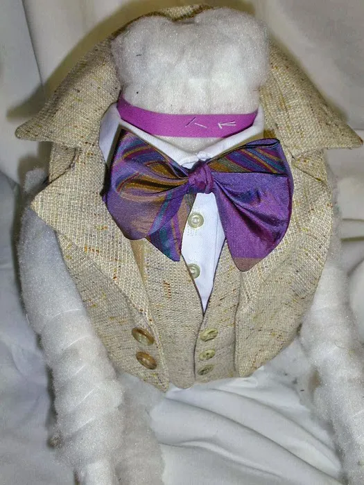 Wraprascal Dog Coats Picture 1