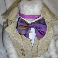 Wraprascal Dog Coats ico