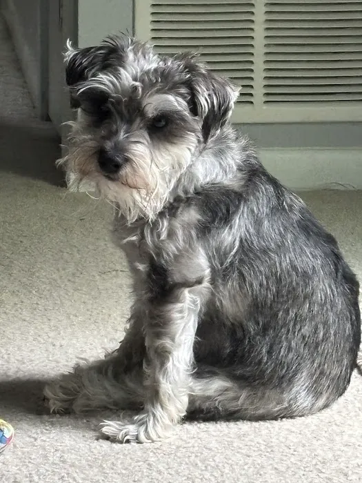 Haddon Vet, LLC Picture 4