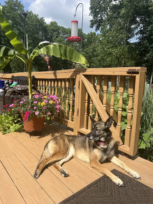 Haddon Vet, LLC Picture 3