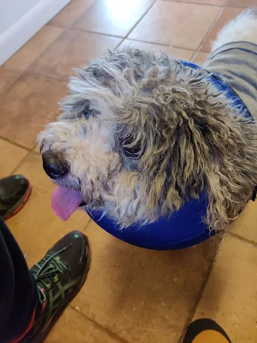 Haddon Vet, LLC Picture 9