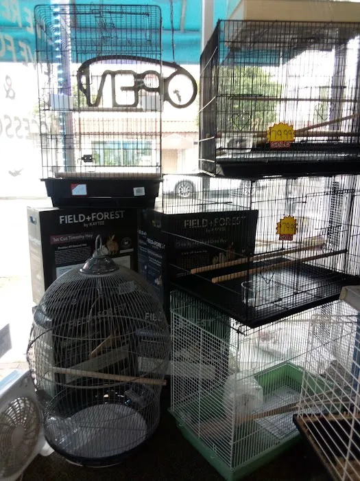 A Land of Pets Picture 6