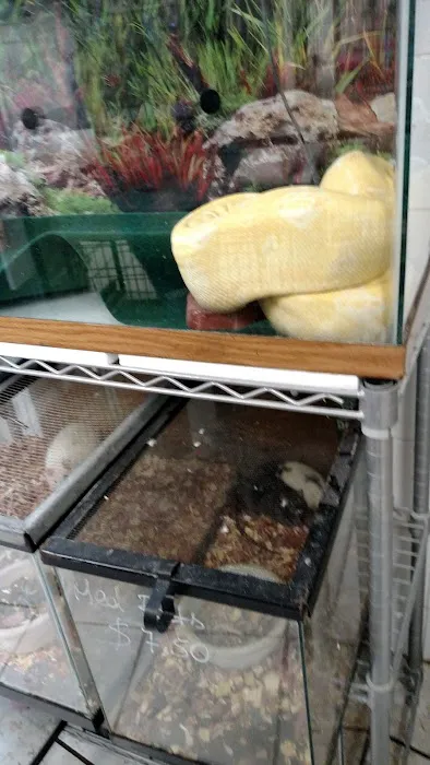 Ironbound Pet Shop Picture 1