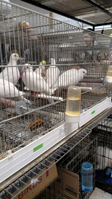 Ironbound Pet Shop Picture 10