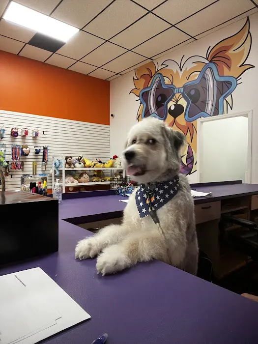 Pet Crew Pet Shop Picture 6