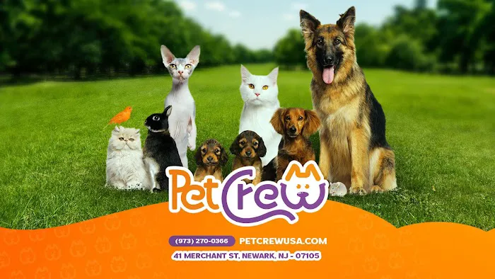 Pet Crew Pet Shop Picture 8