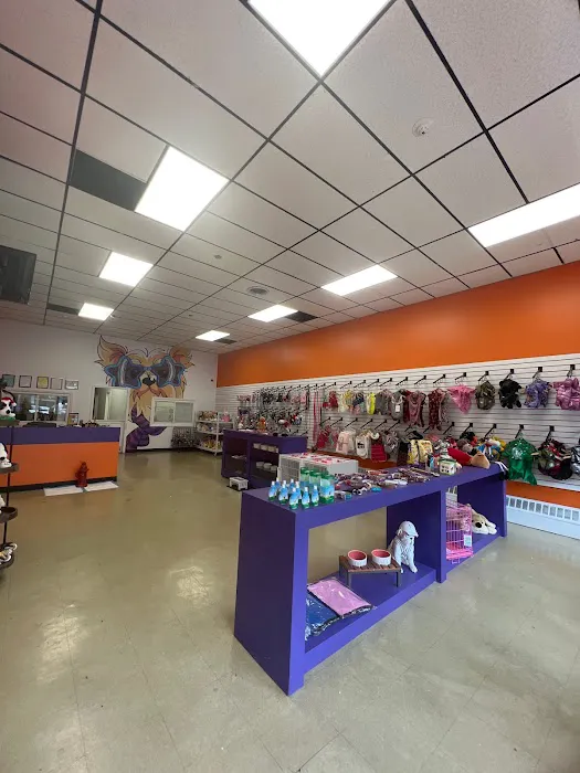 Pet Crew Pet Shop Picture 2