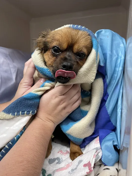 Rothman Animal Hospital Picture 1