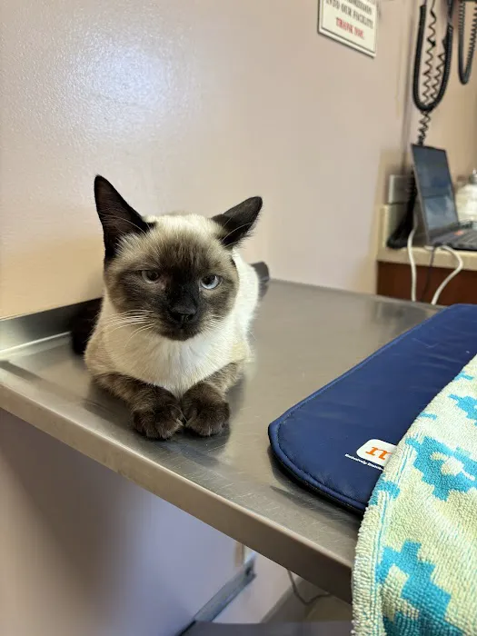 Rothman Animal Hospital Picture 5