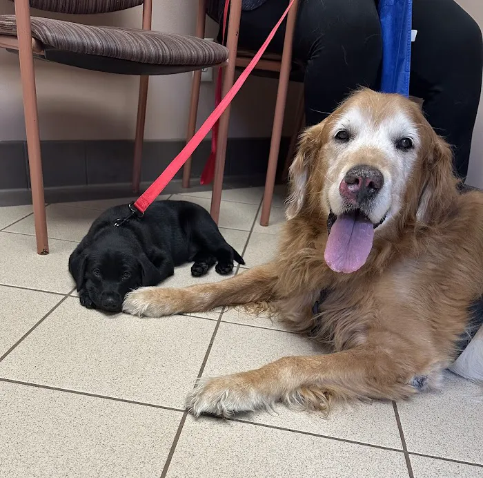 Rothman Animal Hospital Picture 10