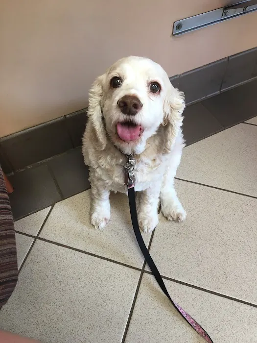 Rothman Animal Hospital Picture 6