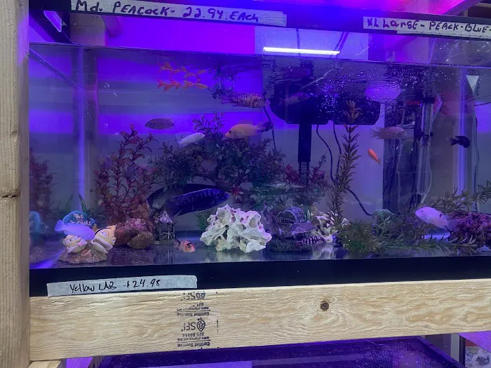 R.S.Pet Center Inc. Picture 3