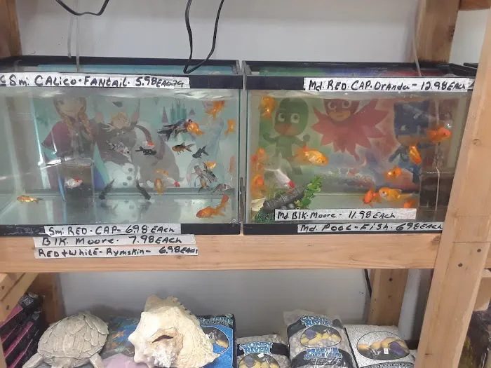 R.S.Pet Center Inc. Picture 5