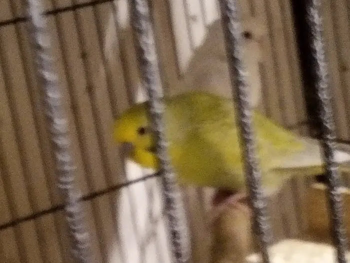R.S.Pet Center Inc. Picture 6