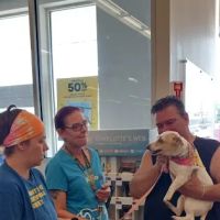 Vetco Vaccination Clinic ico