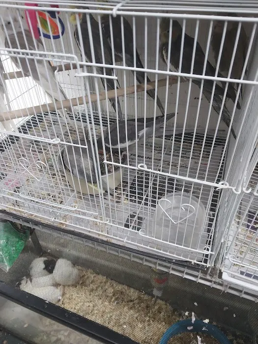 J & J Pet Shop Picture 4