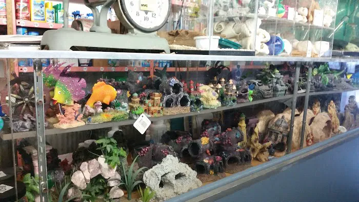 J & J Pet Shop Picture 10