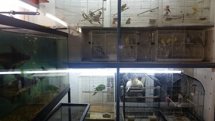 J & J Pet Shop Picture 3