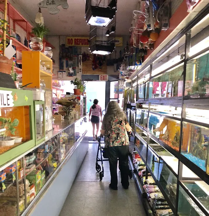 J & J Pet Shop Picture 9